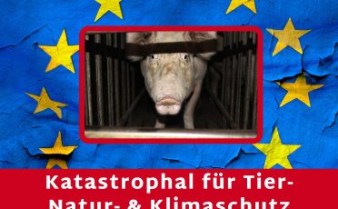 Lobbyismus in der EU: Katastrophal für Tier- Natur- und Klimaschutz