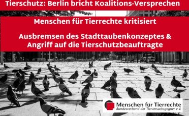 24. Juli 2024: Tierschutz: Berlin bricht Koalitions-Versprechen